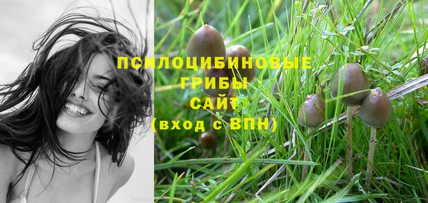 PSILOCYBIN Аркадак