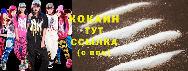 PSILOCYBIN Аркадак