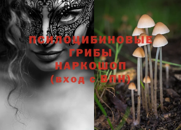 PSILOCYBIN Аркадак