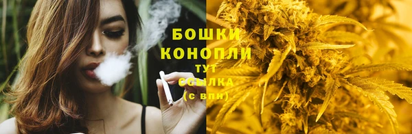 тгк Армянск